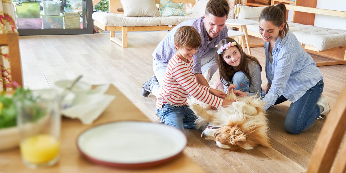 室内でペットを飼っている家庭の子供は「食物アレルギー」になりにくくなる