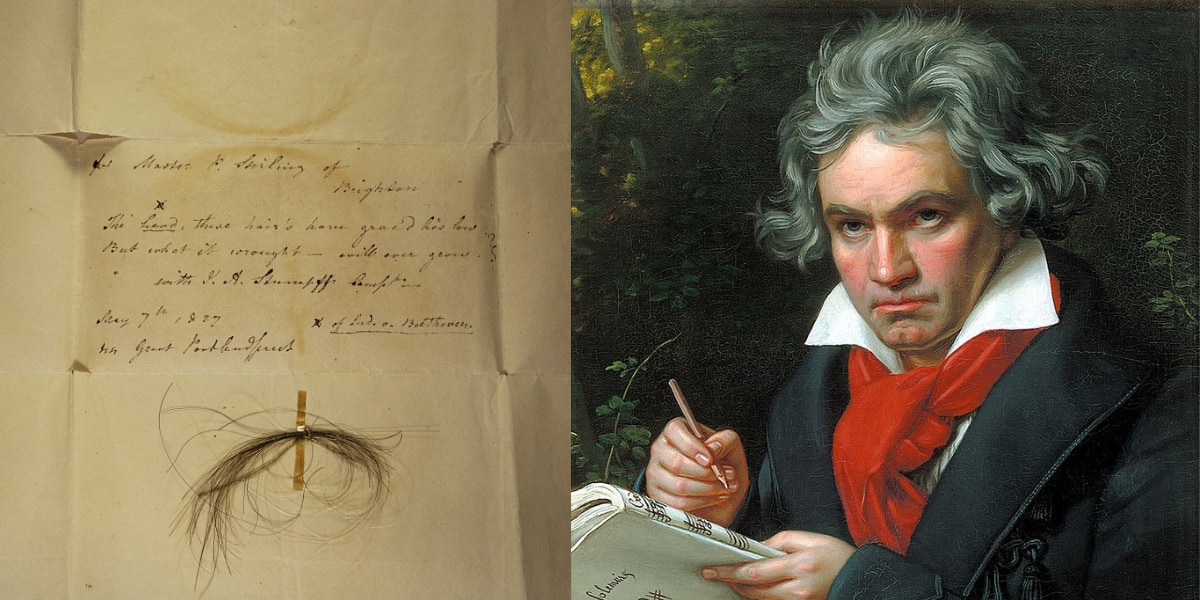 左：毛髪サンプル、右：ベートーヴェンの肖像画