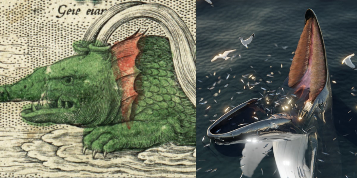 北欧に伝わる海獣ハーヴグーヴァの正体は「クジラの採餌戦略」を描いた姿か