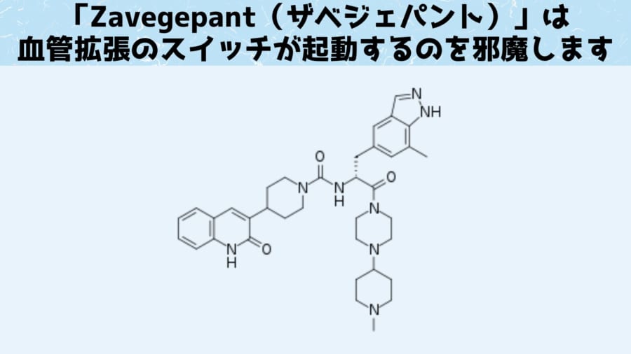 「Zavegepant（ザベジェパント）は先行する片頭痛薬のように抗体ではなく低分子化合物となっています