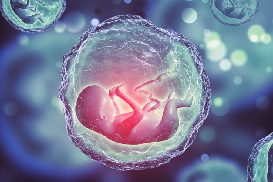 日本人の生命倫理調査：ヒト胚培養について一般人より専門家の方が禁止意見が多い