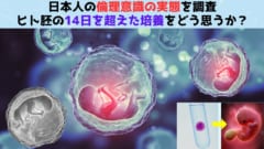 日本の倫理観：ヒト胚の14日を超えた培養をどう思うか？