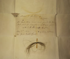 ベートーヴェンの毛髪（1827年5月7日の記録）