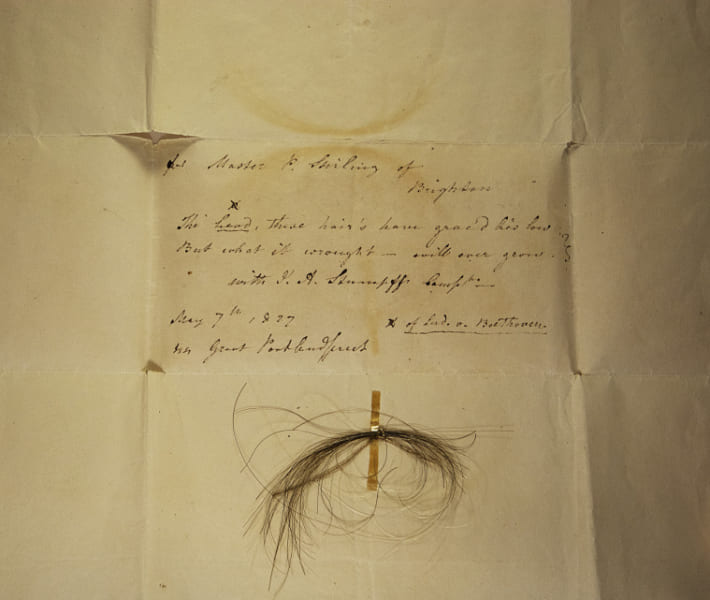 ベートーヴェンの毛髪（1827年5月7日の記録）