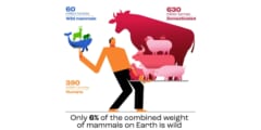 全人口より家畜の総質量の方が重い。野生哺乳類は一番軽い
