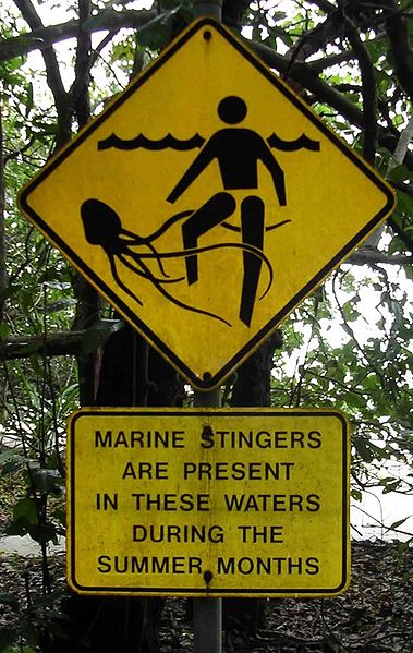 オーストラリアのビーチにあるハコクラゲへの警告標識