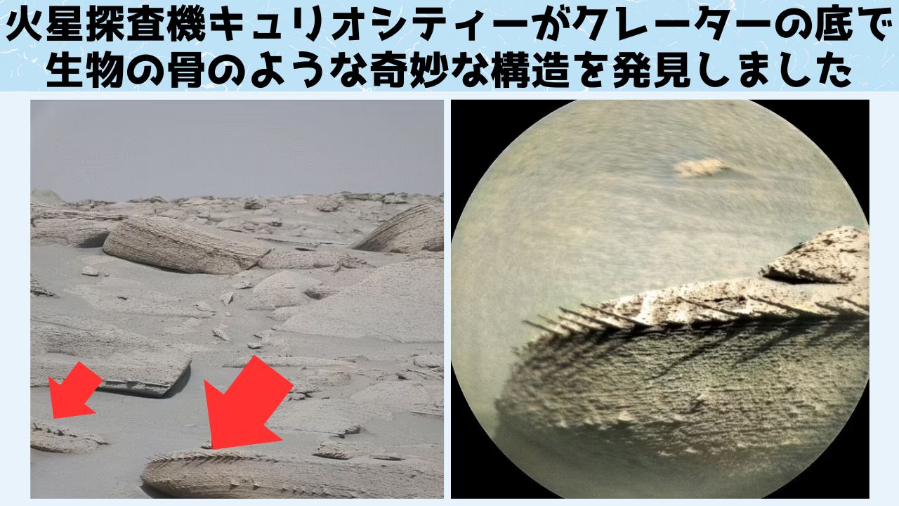 NASAの火星探査機がクレーターの底で「生物の骨」のような構造を発見！