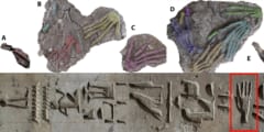 石板にしか残っていない古代エジプトの「手の切断儀式」の証拠を初発見！