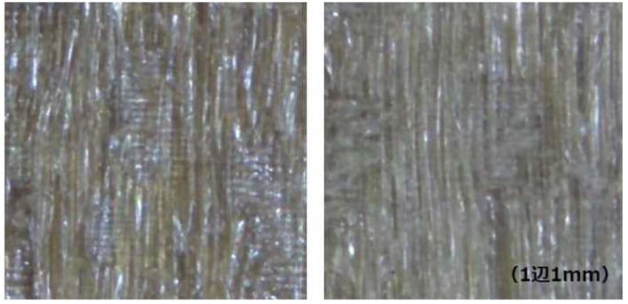 ホオノキの拡大写真。左が試験後、右が試験前でほぼ変化なし