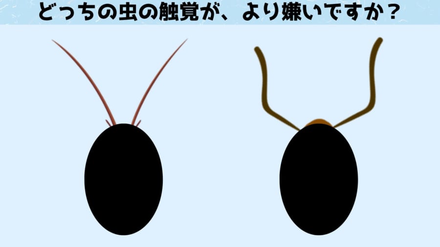 左はゴキブリ、右はアリを連想させる