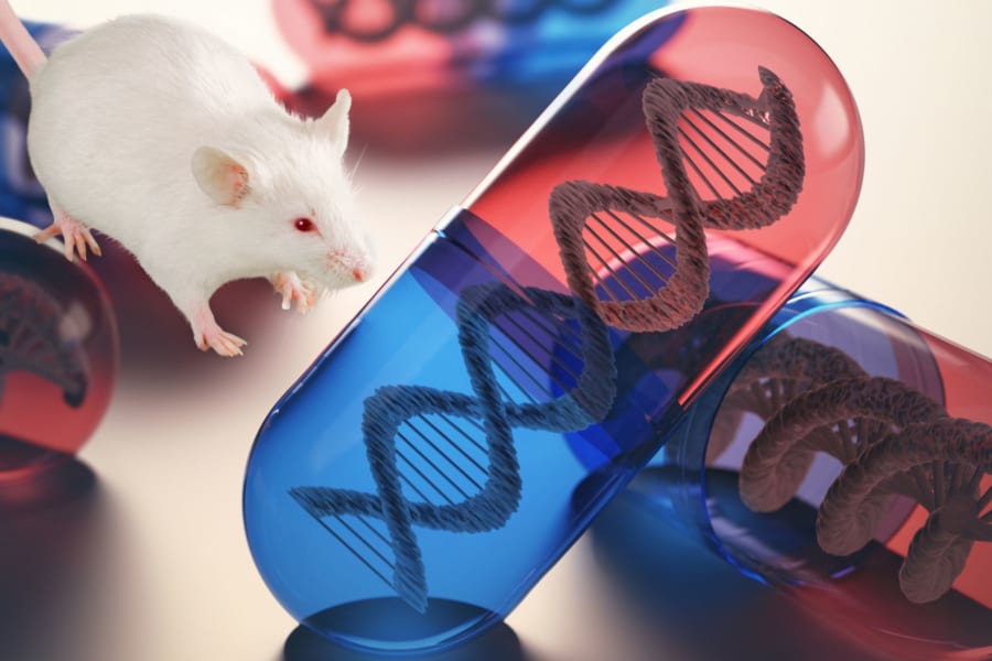 不安を遺伝子治療で取り除いたマウスは高所もヘッチャラになる
