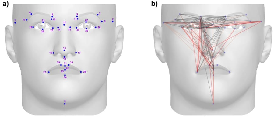 顔の点間距離と遺伝子データを比較