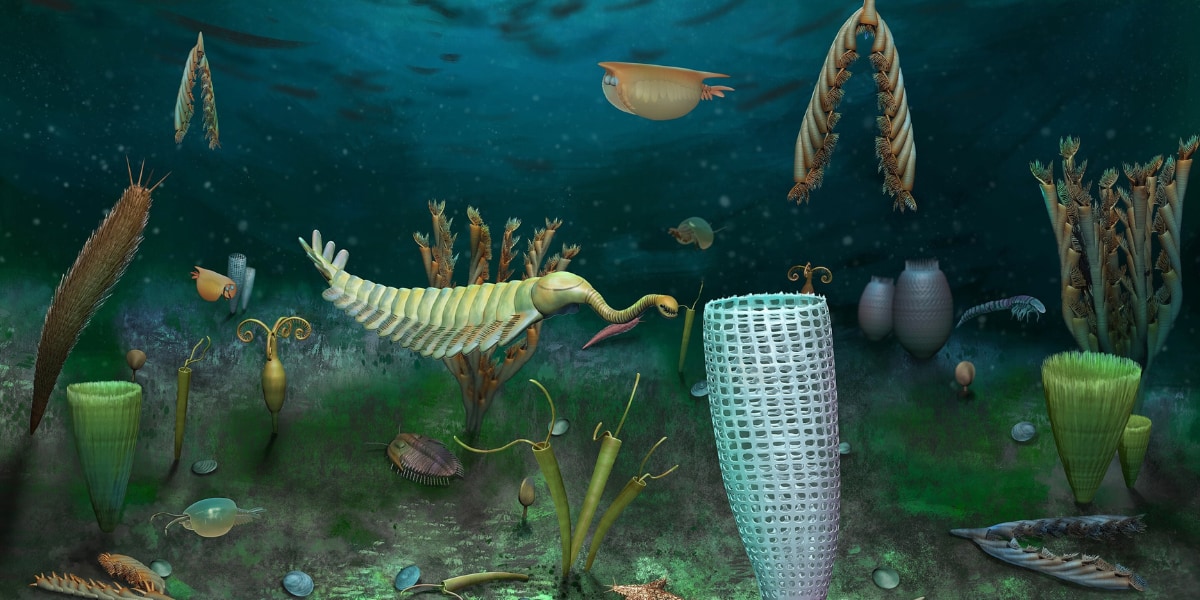 4億6千年前の海洋生態系をすっぽり保存した化石群がイギリスで見つかる！