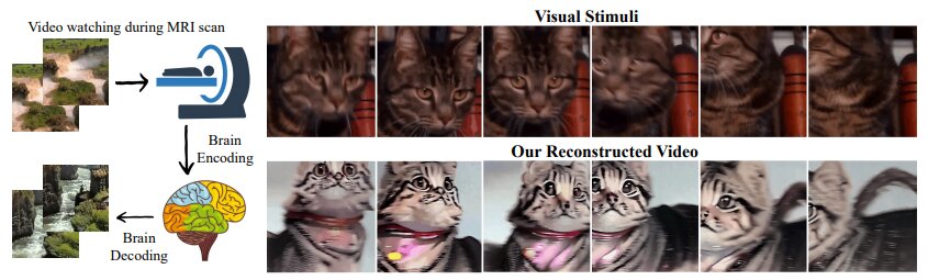 Left: Visualization process, Right: Top image sample, bottom image visualized by AI