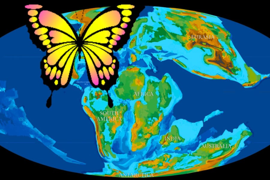 謎に包まれていた蝶の起源が判明！「蝶は1億年前に北アメリカで誕生した」