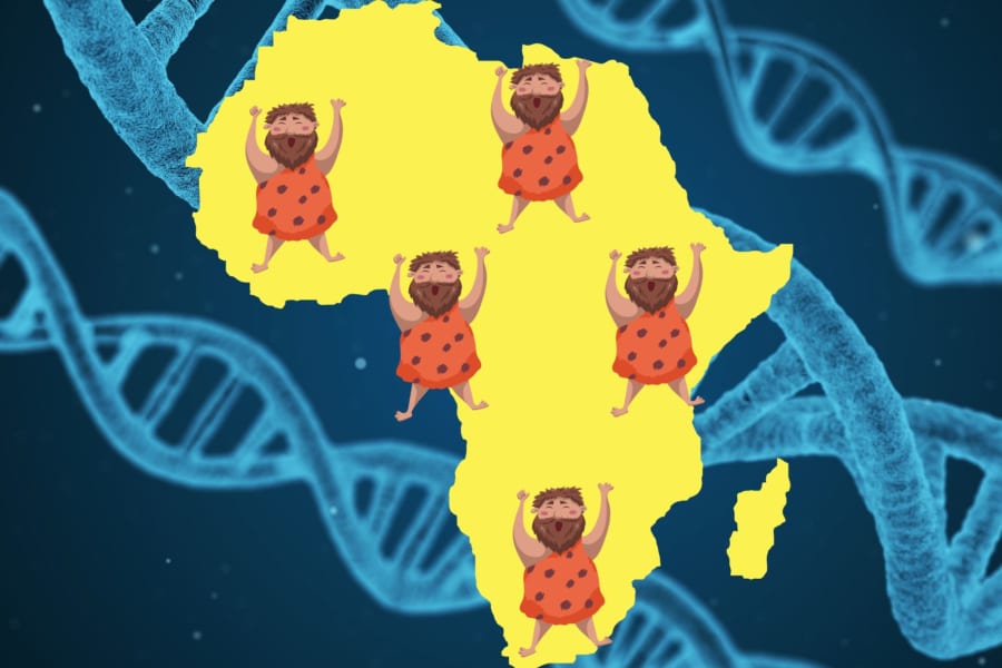 人類はアフリカに広く拡散した「2つの種族」が交配して”広い地域で同時多発的”に誕生していた!?