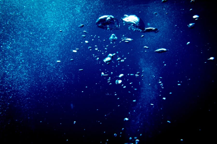 海洋深層水は海洋動物の飼育に役立つと考えられてきた