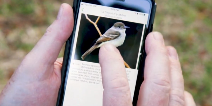 鳥の鳴き声や姿から種類を判別できるアプリ
