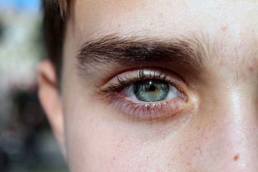 眉毛の見た目を決定する3つの「眉毛遺伝子」を発見！