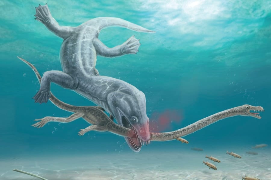 首長竜は「首の長さが弱点」になっていた！首を噛みちぎられた化石を発見