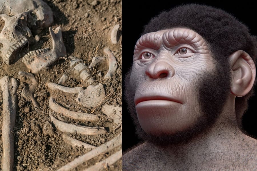絶滅した人類「ホモ・ナレディ」は現生人類より十万年以上早く死者の埋葬をしていた