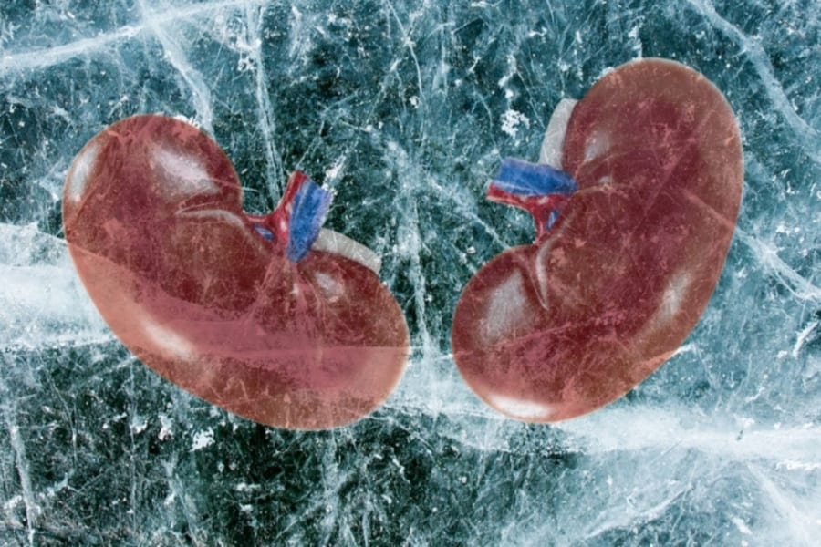 摘出した臓器をガラス化し100日後に解凍して移植することに成功！