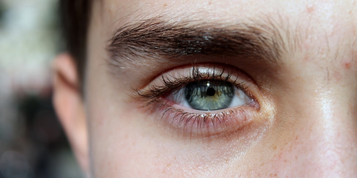 眉毛の見た目の決定にかかわる3つの「眉毛遺伝子」を新発見！