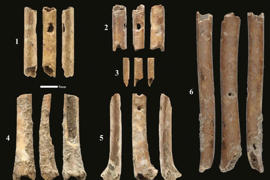 1万2千年前のフルートを発見！鳥の骨を利用し音程も変化できた
