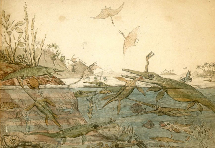 中央右に「首を噛まれる爬虫類」の姿（画ヘンリー・デ・ラ・ビーチ、1830年）