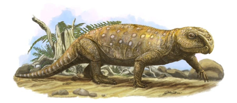 「リンコサウルス」の復元イメージ