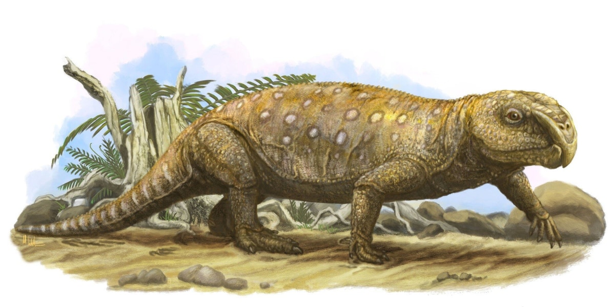 リンコサウルスは堅い植物食で歯がダメになり、最終的に餓死する運命にあった