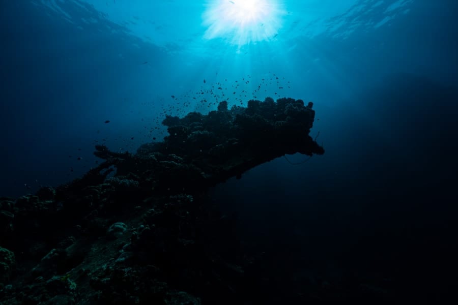 深海4400ｍにある深海生物の形態を2つに分ける「見えないライン」