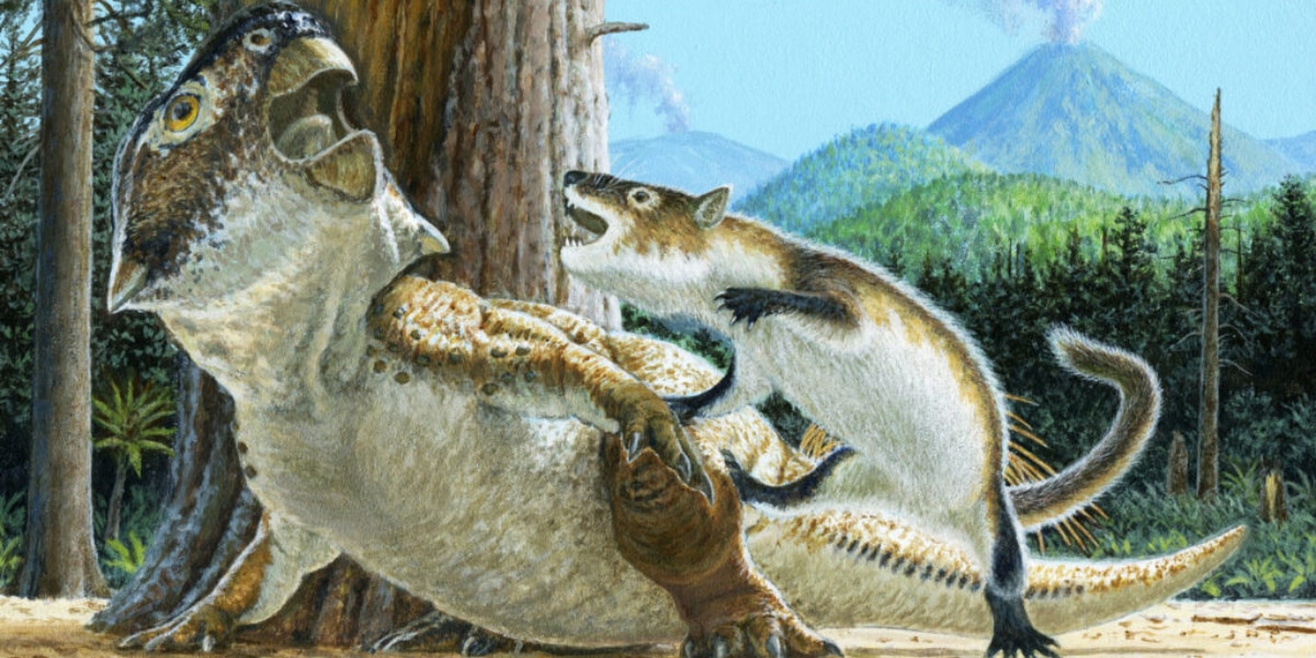白亜紀の哺乳類が「恐竜ハントする瞬間」を捉えた化石を発見！
