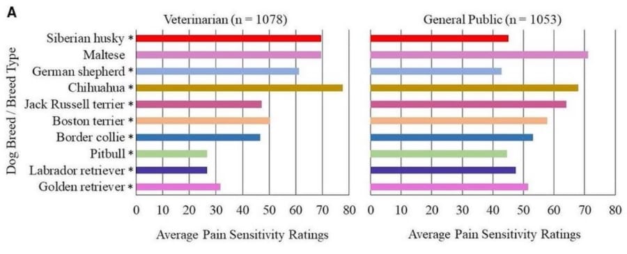 10犬種について、獣医師と一般の人々による「犬の痛みの感受性の評価」の平均値を示したもの。