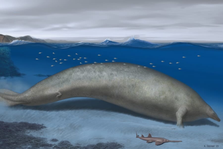 地球史上最も重い新種生物の化石を発見！なんとシロナガスクジラの2倍