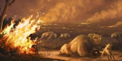 1万3000年前の大量絶滅は気候変動が引き起こした山火事と人間活動による被害拡大が原因か