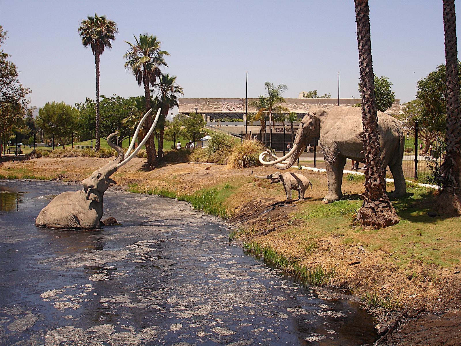 博物館で再現されたタールの池とマンモスの模型