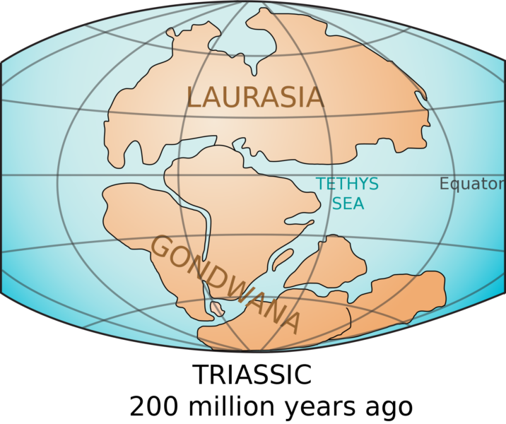 約2億年前の大陸（北がローラシア、南がゴンドワナ）