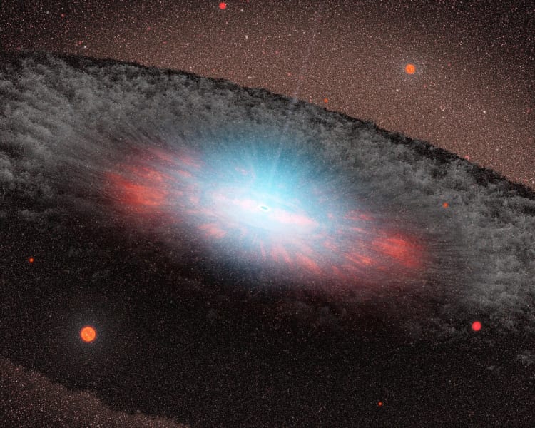 超大質量ブラックホールの周りにできた降着円盤のイメージ図