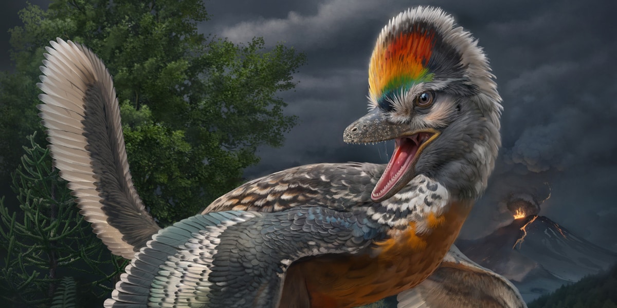 恐竜と鳥のミッシングリンクを埋める「新種の恐竜」を中国で発見！