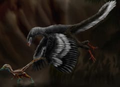 始祖鳥の復元イメージ