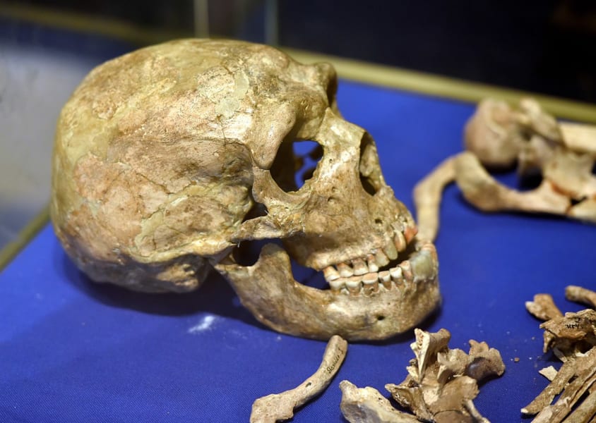 シャニダール洞窟で見つかったネアンデルタール人の頭蓋骨
