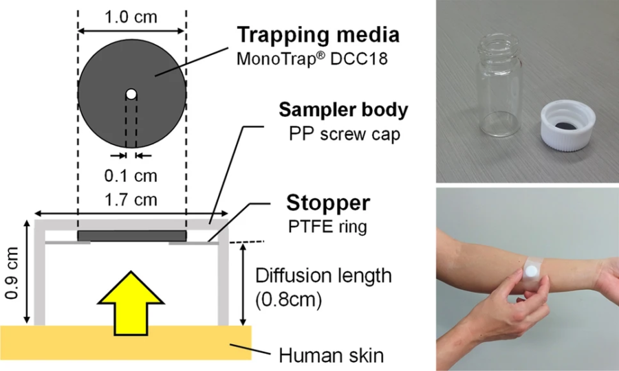 本研究で使用した75人分の皮膚ガス測定用パッシブフラックスサンプラーの概略図。