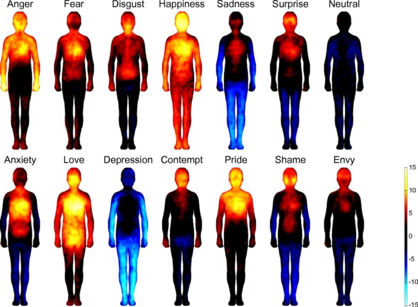 様々な感情の身体マップ