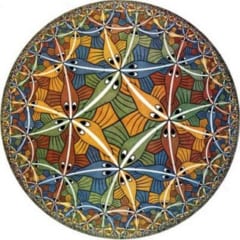 エッシャー作「サークルリミットⅢ」。エッシャーは双極幾何学の理論を用いて4次元的なパターンを2次平面上に再現してこの図形を描いた。