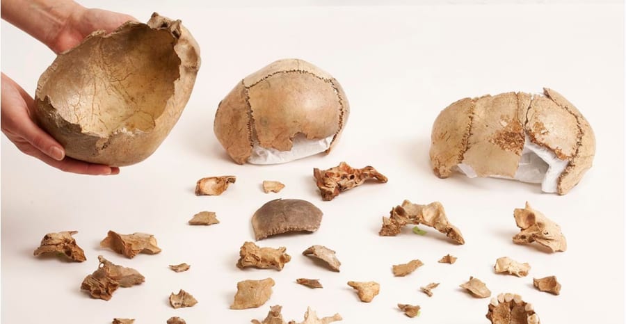 マグダレニア人の遺跡で回収された人骨