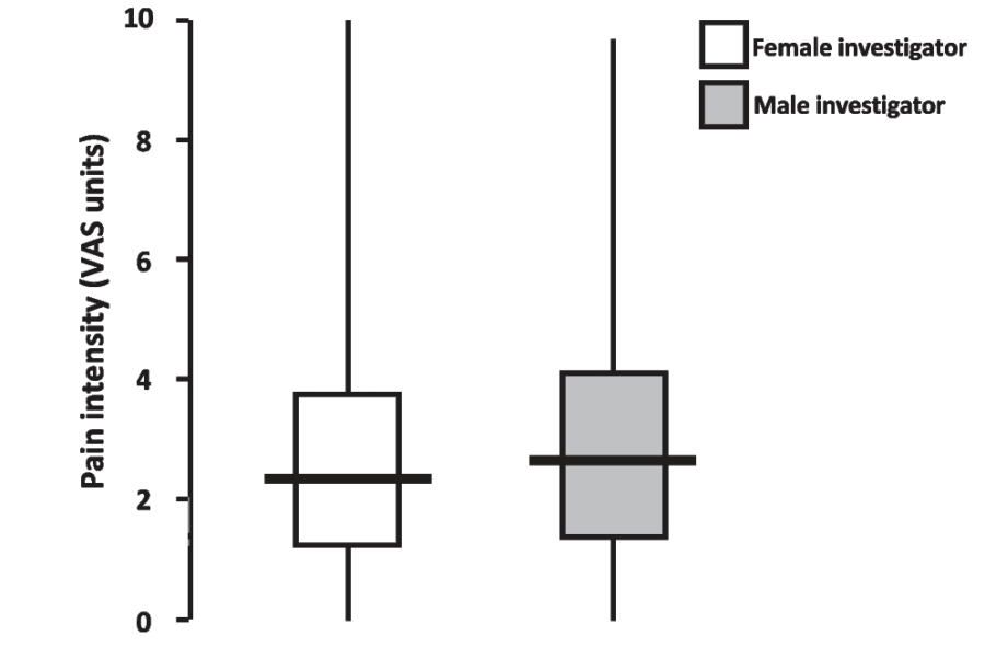 男性患者の痛みレベルは実験者が女性（白）のときに有意に低下していた