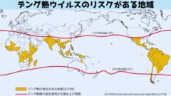 遠くない将来、日本もデング熱の流行する地域に含まれるかもしれません