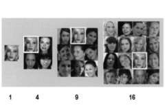 実験で用いられた刺激。複数の顔が同時に提示される時には、評価すべき対象を白枠で囲んでいる。