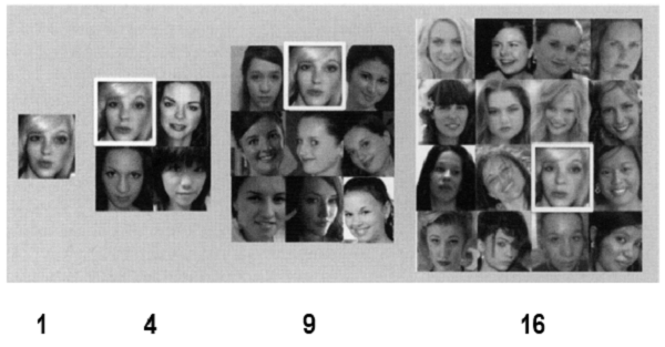 実験で用いられた刺激。複数の顔が同時に提示される時には、評価すべき対象を白枠で囲んでいる。